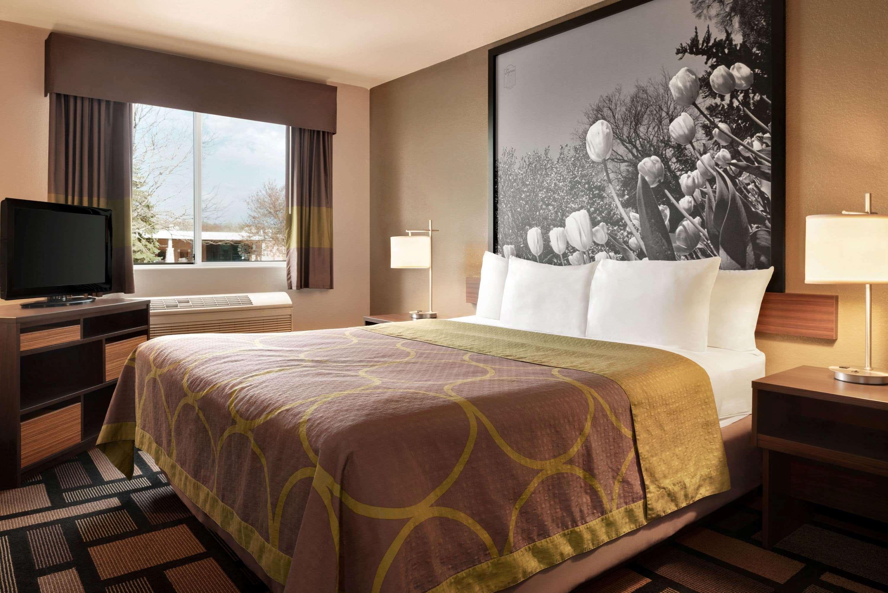 Super 8 By Wyndham Akron S/Green/Uniontown Oh Eksteriør billede